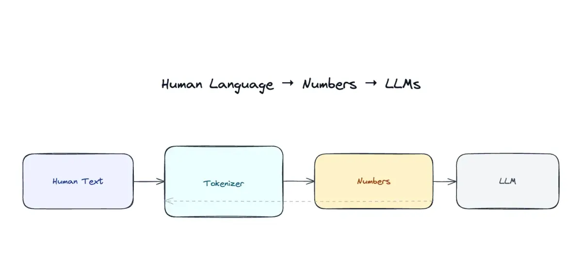 The Role of Tokenizers in LLMs
